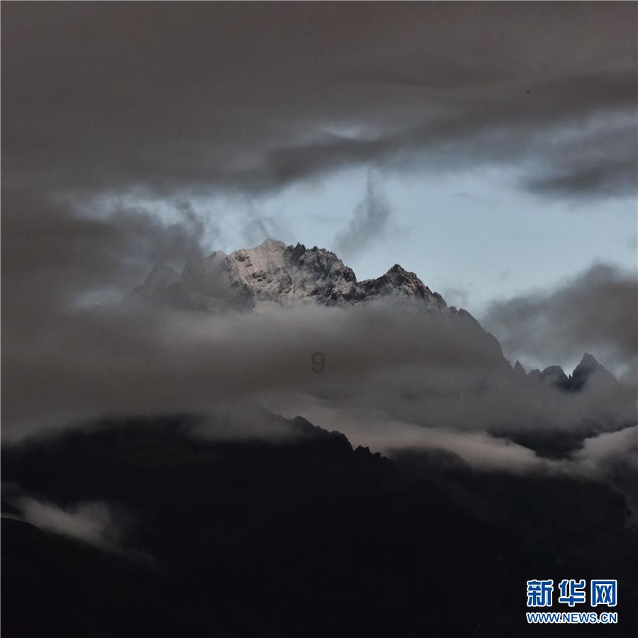 株洲芦淞健全“情指行”一体化机制